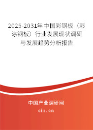 2025-2031年中國彩鋼板（彩涂鋼板）行業(yè)發(fā)展現狀調研與發(fā)展趨勢分析報告