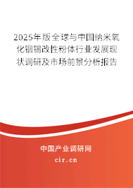 2025年版全球與中國納米氧化銦錫改性粉體行業(yè)發(fā)展現(xiàn)狀調(diào)研及市場前景分析報(bào)告