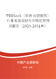 中國SaaS（軟件運(yùn)營服務(wù)）行業(yè)發(fā)展調(diào)研與市場前景預(yù)測報(bào)告（2025-2031年）