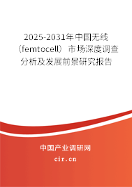 2025-2031年中國無線（femtocell）市場深度調(diào)查分析及發(fā)展前景研究報告