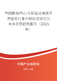 中國數(shù)據(jù)中心IT基礎(chǔ)設(shè)施第三方服務(wù)行業(yè)市場現(xiàn)狀研究與未來前景趨勢(shì)報(bào)告（2025年）