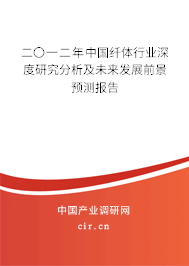 二〇一二年中國纖體行業(yè)深度研究分析及未來發(fā)展前景預(yù)測報(bào)告