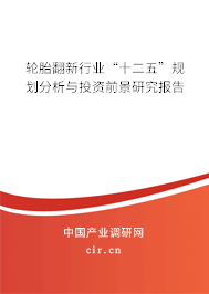 輪胎翻新行業(yè)“十二五”規(guī)劃分析與投資前景研究報告
