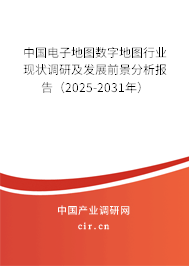 中國電子地圖數(shù)字地圖行業(yè)現(xiàn)狀調(diào)研及發(fā)展前景分析報告（2025-2031年）