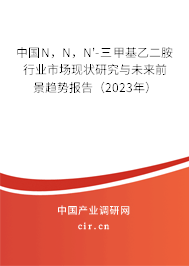 中國(guó)N，N，N'-三甲基乙二胺行業(yè)市場(chǎng)現(xiàn)狀研究與未來(lái)前景趨勢(shì)報(bào)告（2023年）