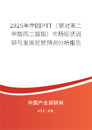 2025年中國(guó)PTT（聚對(duì)苯二甲酸丙二醇酯）市場(chǎng)現(xiàn)狀調(diào)研與發(fā)展前景預(yù)測(cè)分析報(bào)告