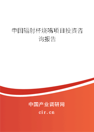中國輻射杯燒嘴項(xiàng)目投資咨詢報(bào)告