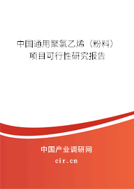 中國(guó)通用聚氯乙烯（粉料）項(xiàng)目可行性研究報(bào)告