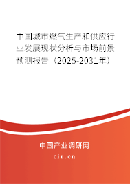 中國城市燃?xì)馍a(chǎn)和供應(yīng)行業(yè)發(fā)展現(xiàn)狀分析與市場(chǎng)前景預(yù)測(cè)報(bào)告（2025-2031年）