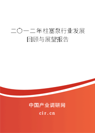 二〇一二年柱塞泵行業(yè)發(fā)展回顧與展望報告