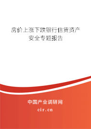 房價(jià)上漲下跌銀行信貸資產(chǎn)安全專題報(bào)告