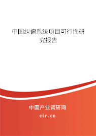 中國(guó)糾偏系統(tǒng)項(xiàng)目可行性研究報(bào)告