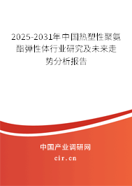 2025-2031年中國熱塑性聚氨酯彈性體行業(yè)研究及未來走勢分析報告