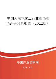 中國天然氣化工行業(yè)市場市場調(diào)研分析報告（2012版）