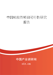 中國粘膠劑項(xiàng)目可行性研究報(bào)告