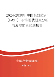 2024-2030年中國聚酰胺9T（PA9T）市場現狀研究分析與發(fā)展前景預測報告