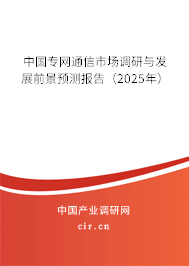 中國專網(wǎng)通信市場調(diào)研與發(fā)展前景預(yù)測報告（2025年）