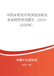 中國米老鼠市場深度剖析及發(fā)展趨勢預測報告（2023-2029年）