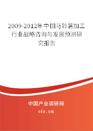 2009-2012年中國馬鈴薯加工行業(yè)戰(zhàn)略咨詢與發(fā)展預測研究報告