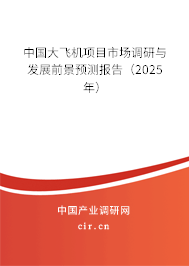 中國大飛機項目市場調研與發(fā)展前景預測報告（2025年）