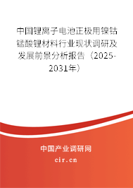 中國鋰離子電池正極用鎳鈷錳酸鋰材料行業(yè)現(xiàn)狀調(diào)研及發(fā)展前景分析報(bào)告（2025-2031年）