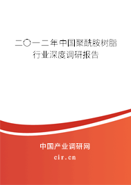 二〇一二年中國聚酰胺樹脂行業(yè)深度調(diào)研報告
