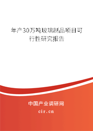 年產(chǎn)30萬噸玻璃制品項目可行性研究報告