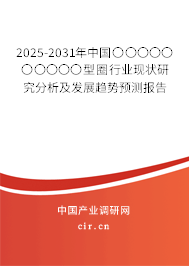 2025-2031年中國〇〇〇〇〇〇〇〇〇〇型圈行業(yè)現(xiàn)狀研究分析及發(fā)展趨勢預測報告