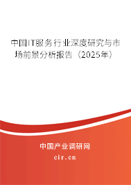 中國(guó)IT服務(wù)行業(yè)深度研究與市場(chǎng)前景分析報(bào)告（2025年）