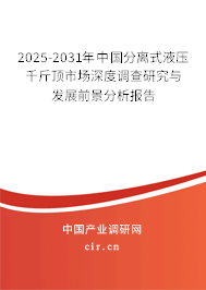 2025-2031年中國分離式液壓千斤頂市場深度調(diào)查研究與發(fā)展前景分析報告
