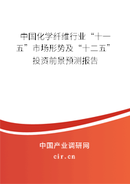 中國化學(xué)纖維行業(yè)“十一五”市場形勢及“十二五”投資前景預(yù)測報告