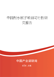 中國(guó)耐水膩?zhàn)禹?xiàng)目可行性研究報(bào)告