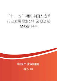 “十二五”期間中國(guó)人造革行業(yè)發(fā)展規(guī)劃分析及投資前景預(yù)測(cè)報(bào)告