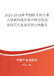 2025-2031年中國航天航空業(yè)大屏幕拼接系統(tǒng)市場深度調(diào)查研究與發(fā)展前景分析報告