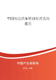中國電動風車項目投資咨詢報告