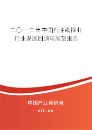 二〇一二年中國石油勘探業(yè)行業(yè)發(fā)展回顧與展望報告