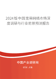 2024版中國(guó)寬帶網(wǎng)絡(luò)市場(chǎng)深度調(diào)研與行業(yè)前景預(yù)測(cè)報(bào)告