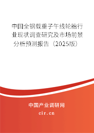 中國全鋼載重子午線輪胎行業(yè)現(xiàn)狀調(diào)查研究及市場前景分析預(yù)測報告（2025版）
