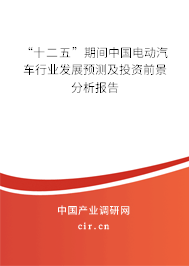 “十二五”期間中國電動汽車行業(yè)發(fā)展預(yù)測及投資前景分析報(bào)告