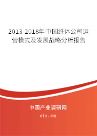 2013-2018年中國纖體公司運(yùn)營模式及發(fā)展戰(zhàn)略分析報告