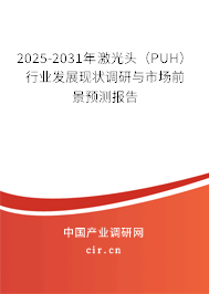 2025-2031年激光頭（PUH）行業(yè)發(fā)展現狀調研與市場前景預測報告
