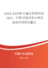 2024-2030年全氟烷氧基樹脂（pfa）市場深度調(diào)查分析及發(fā)展前景研究報告