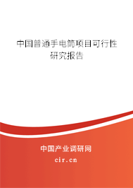 中國普通手電筒項目可行性研究報告