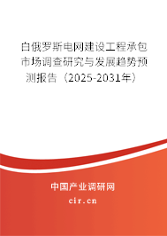 白俄羅斯電網(wǎng)建設(shè)工程承包市場調(diào)查研究與發(fā)展趨勢預(yù)測報(bào)告（2025-2031年）