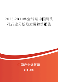 2025-2031年全球與中國(guó)沉頭孔行業(yè)分析及發(fā)展趨勢(shì)報(bào)告