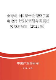 全球與中國聚合物鋰離子蓄電池行業(yè)現(xiàn)狀調(diào)研與發(fā)展趨勢(shì)預(yù)測(cè)報(bào)告（2025版）