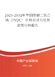 2025-2031年中國(guó)聚偏二氯乙烯（PVDC）市場(chǎng)現(xiàn)狀與前景趨勢(shì)分析報(bào)告