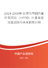 2024-2030年全球與中國六氟環(huán)氧丙烷（HFPO）行業(yè)發(fā)展深度調(diào)研與未來趨勢分析