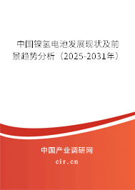 中國(guó)鎳氫電池發(fā)展現(xiàn)狀及前景趨勢(shì)分析（2025-2031年）