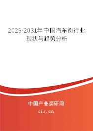 2025-2031年中國汽車衡行業(yè)現(xiàn)狀與趨勢分析